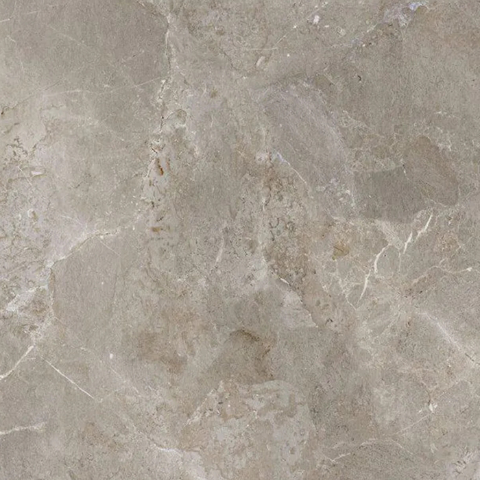 Royal Stone Palladium Grey 100x100